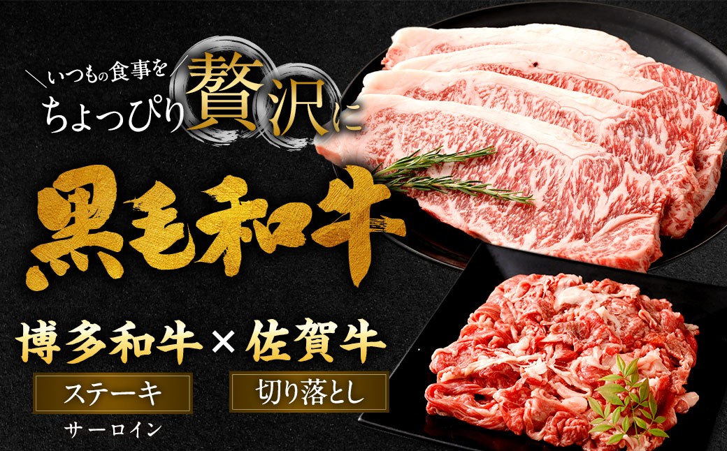 博多和牛 ステーキ （サーロイン） 4枚 （計約1kg） ＋ 佐賀牛 切り落とし 400g ／ 黒毛和牛 黒毛和種 和牛 牛肉 お肉 肉 サーロイン肉 セット 国産 九州 福岡県 太宰府市 冷凍
