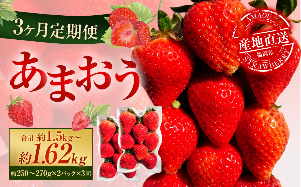 【3ヶ月定期便】 あまおう 2パック×3回 （計6パック） 【2026年2月上旬～4月上旬発送予定】 いちご イチゴ 果物 果実 フルーツ 福岡県 太宰府市 冷蔵