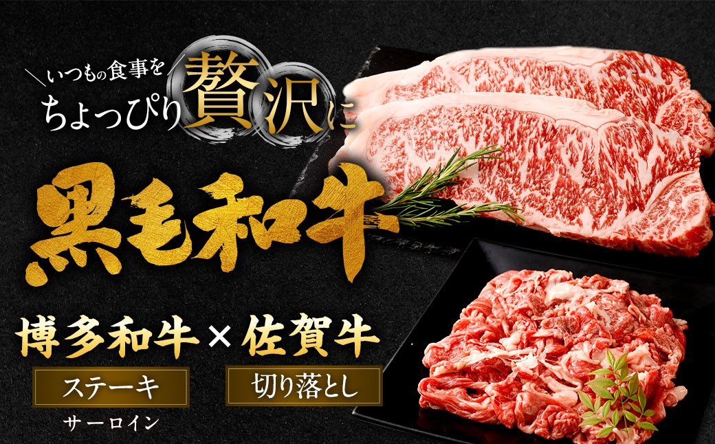 博多和牛 ステーキ （サーロイン） 2枚 （計約500g） ＋ 佐賀牛 切り落とし 400g ／ 黒毛和牛 黒毛和種 和牛 牛肉 お肉 肉 サーロイン肉 セット 国産 九州 福岡県 太宰府市 冷凍