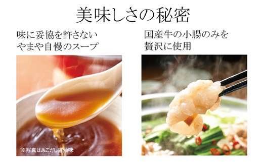 【本場博多のもつ鍋をご家庭で】 やまや 博多もつ鍋 あごだし醤油味（ 1〜2人前 ）