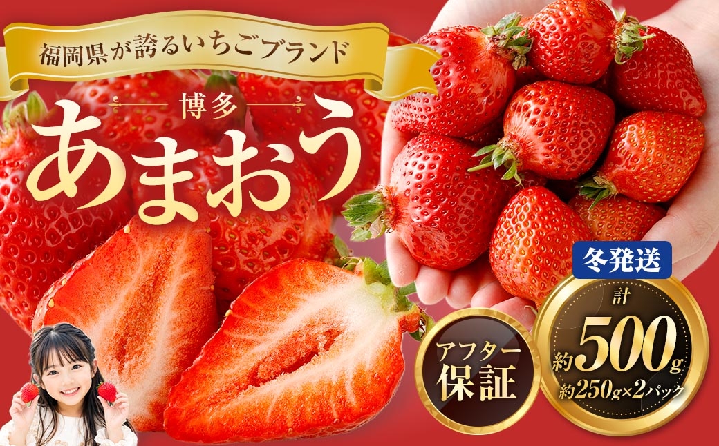 博多 あまおう 2パック（冬）【2026年12月上旬～2027年1月下旬発送予定】