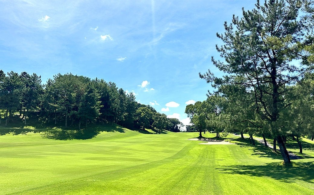 太宰府ゴルフ倶楽部 ゴルフ利用券 12,000円分 ／ ゴルフ ゴルフ場 ゴルフ場利用券 チケット 券 ゴルフプレー スポーツ 九州 福岡県 太宰府市