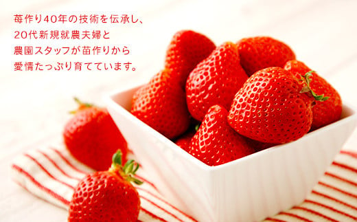 【アフター保証】贈答用 あまおう 約800g【2025年2月上旬～2025年4月上旬発送予定】 いちご イチゴ 苺 化粧箱入り