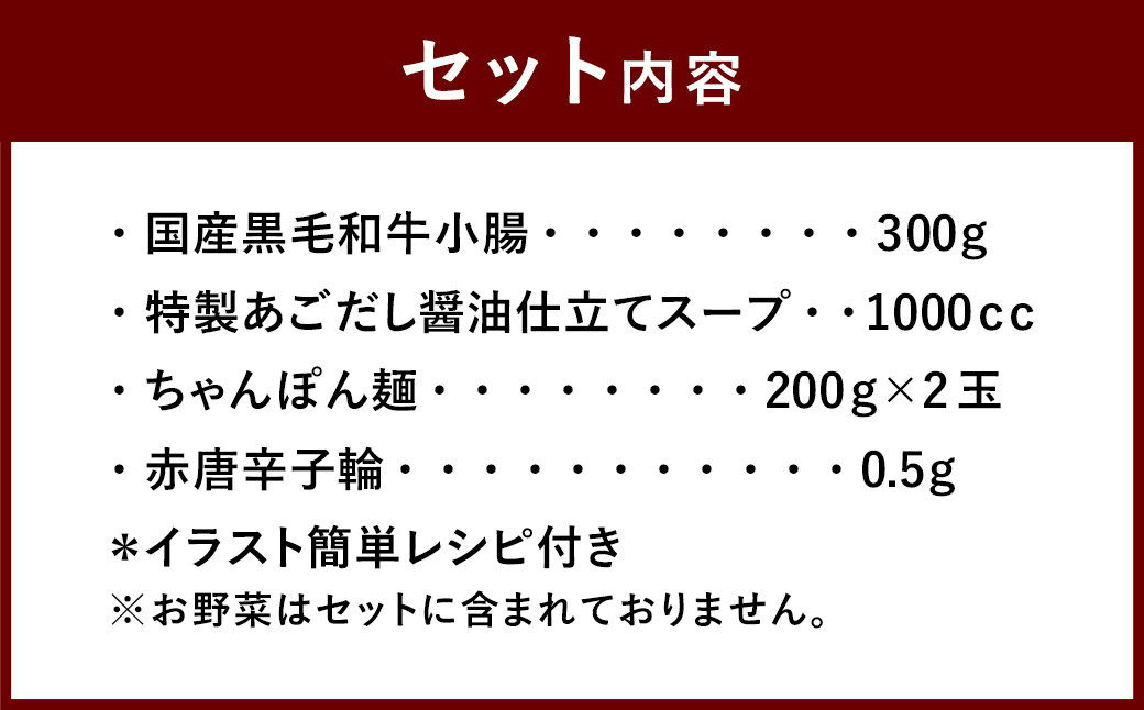 【とんこや】 国産 黒毛和牛 もつ鍋セット あごだし醤油 (2～3人前)