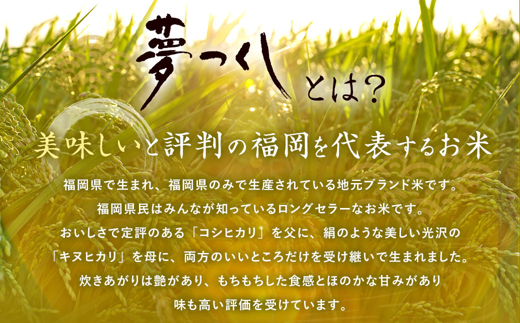 【12ヶ月定期便】夢つくし 玄米 PREMIUMパック 24パック×12回 お米 米 ご飯 ごはん パックライス パックご飯 パックごはん レトルト