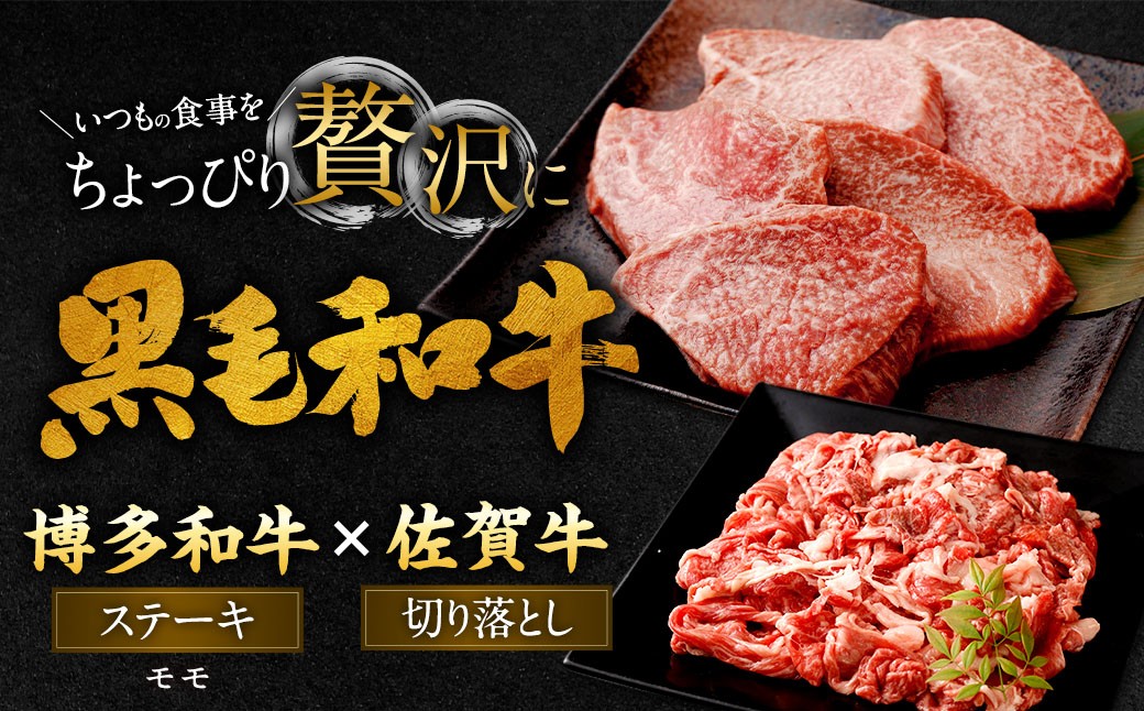 博多和牛 ステーキ （モモ） 5枚 （計約500g） ＋ 佐賀牛 切り落とし 400g ／ 黒毛和牛 黒毛和種 和牛 牛肉 お肉 肉 もも モモ肉 もも肉 霜降り セット 国産 九州 福岡県 太宰府市 冷凍