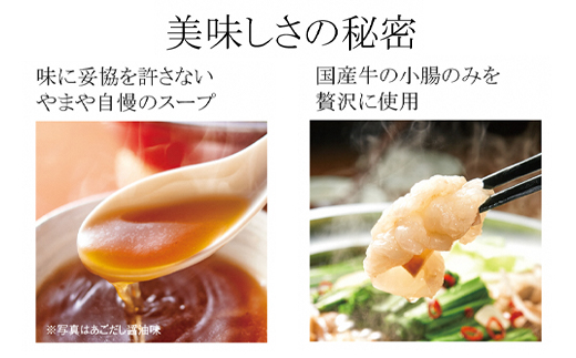 【本場博多のもつ鍋をご家庭で】 やまや 博多もつ鍋 こく味噌味 （ 3〜4人前 ）