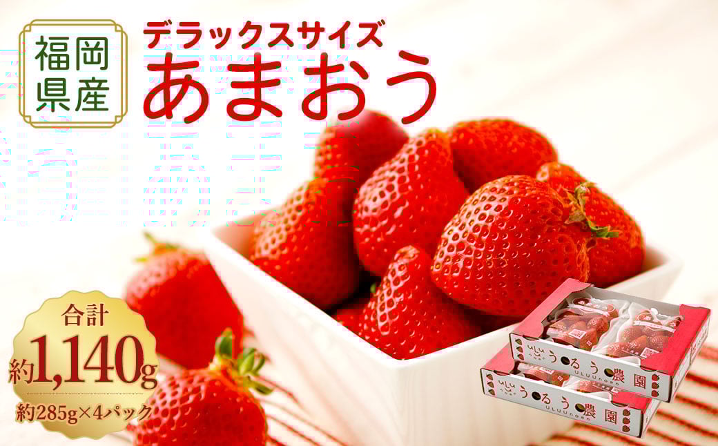 【アフター保証】うるう農園 あまおう DX等級 4パック （約1140g）【2025年12月上旬～2026年1月下旬発送予定】 いちご イチゴ 苺 フルーツ 果物