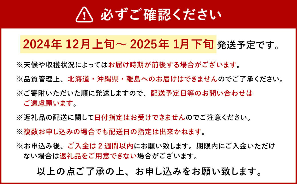 今季初採れあまおう 2パック【数量限定】【2024年12月上旬～2025年1月下旬発送予定】あまおう いちご イチゴ 苺 フルーツ 果物