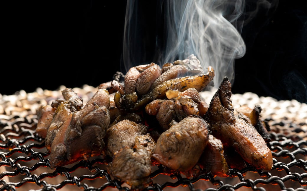 はかた地どり 炭火焼 セット 500g （ 100g ×5パック ） 焼き鳥 焼鳥 地鶏 鶏肉 とり肉 肉 お肉 鶏 炭火 冷凍 国産 福岡県産