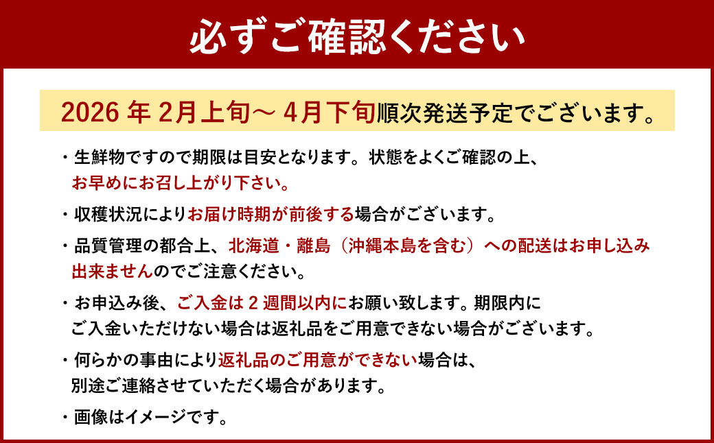 博多 あまおう 6パック（春）【2026年2月上旬～4月下旬発送予定】