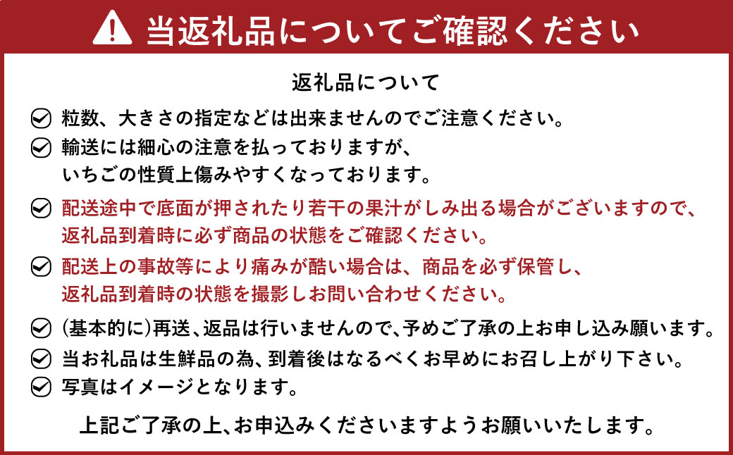 【2024年3月上旬より発送開始】【予約受付・3回定期便】 あまおう 贅沢セット No2 冷凍あまおう あまおうレアチーズケーキ フルーツ 果物