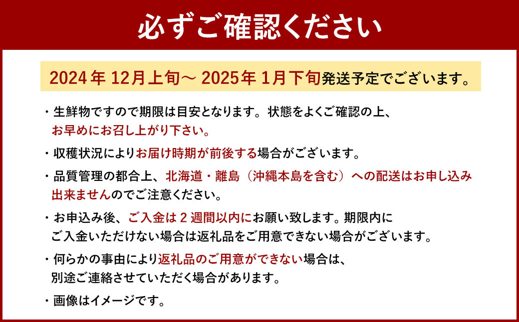 博多 あまおう 2パック（冬）【2024年12月上旬～2025年1月下旬発送予定】