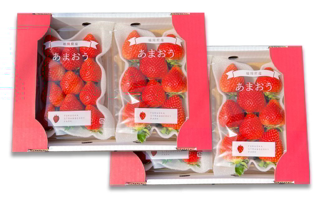 【1月～2月発送】いちごの王様 あまおう 約280g×4パック 約1120g【2026年1月上旬～2026年2月下旬発送予定】 いちご イチゴ 苺 フルーツ