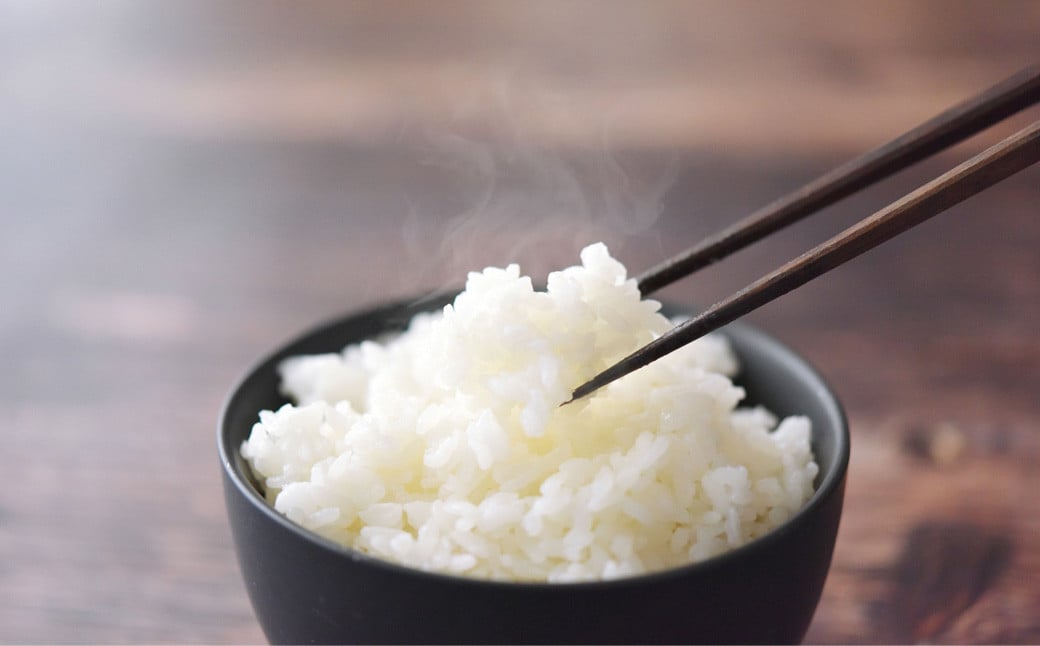 【令和7年産】福岡県産 【特A】評価のお米「元気つくし」5kg×2袋（10kg）白米 精米 お米 米