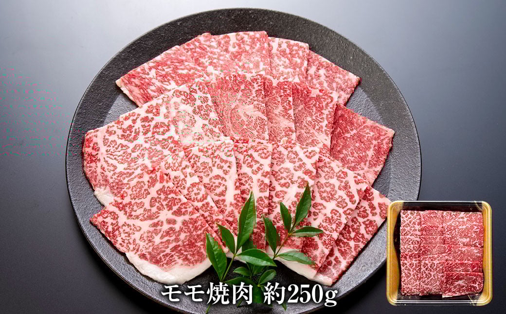 åå€åçã®é£ã¹æ¯ã¹ã»ãã çŽ650gïŒåãèœãšãçŽ200gÃ2ããã¯ïŒã¢ã¢çŒèçŽ250gïŒåç åãèœãšã ã¢ã¢