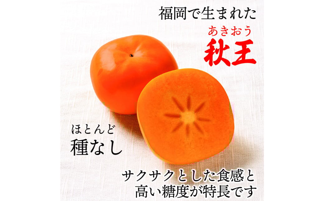 秋のフルーツの王様 ブランド柿 「 秋王 」 化粧箱 約1.75kg 6個入り【2026年10月下旬～11月下旬発送予定】