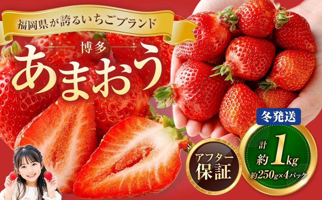 博多 あまおう 4パック（冬）【2026年12月上旬～2027年1月下旬発送予定】