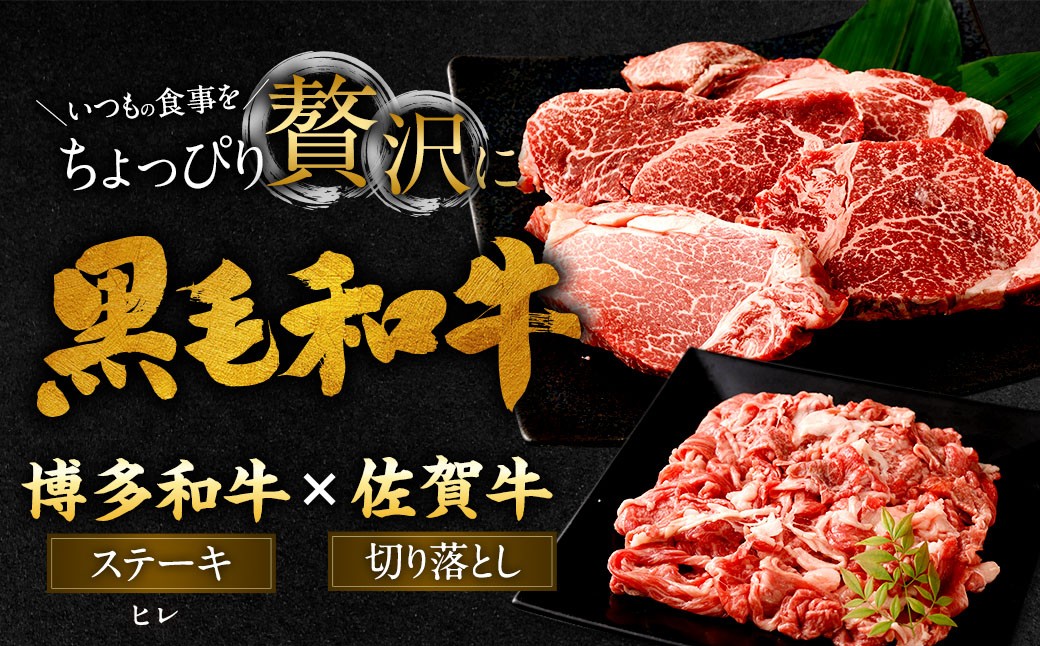 博多和牛 ステーキ （ヒレ） 4枚 （計約600g） ＋ 佐賀牛 切り落とし 400g ／ 黒毛和牛 黒毛和種 和牛 牛肉 お肉 肉 ヒレ肉 セット 国産 九州 福岡県 太宰府市 冷凍