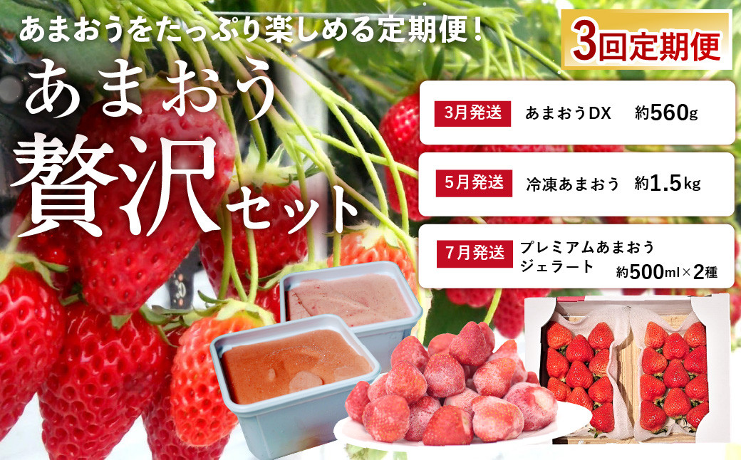 【2024年3月上旬より発送開始】【予約受付・3回定期便】あまおう 贅沢セット いちご イチゴ フルーツ 果物