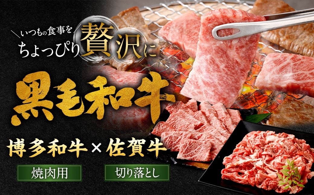 博多和牛 焼肉用 500g ＋ 佐賀牛 切り落とし 400g 計900g（計2パック） 牛 和牛 牛肉 お肉 肉 にく 切落し 赤身 肩肉 バラ肉 冷凍