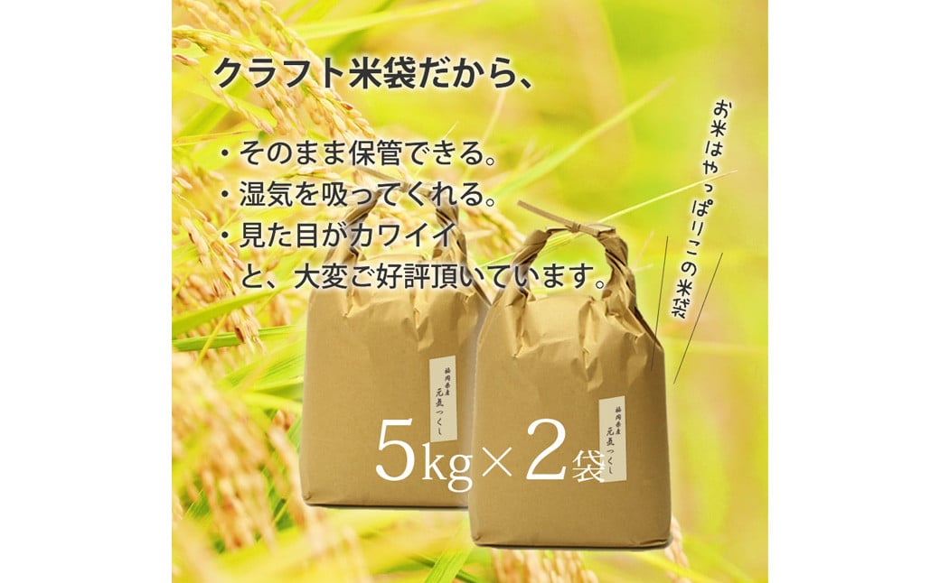 【令和6年産】福岡県産 【特A】評価のお米「元気つくし」5kg×2袋（10kg）【2024年11月下旬より順次発送】玄米 お米 米