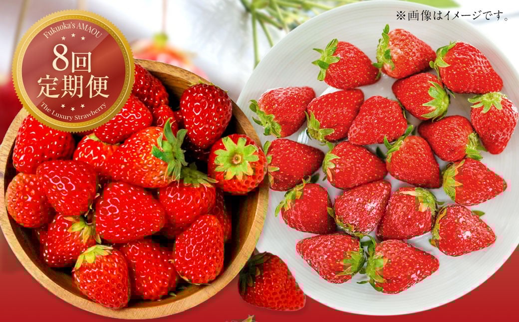 【8回定期便】 【いちごの定期便】 福岡県産あまおう （フレッシュあまおう・冷凍あまおう） 【2026年1月上旬～9月下旬発送】 いちご イチゴ 冷凍いちご あまおう  冷凍あまおう 果物 くだもの 国産 福岡県産 定期便 冷蔵 冷凍 
