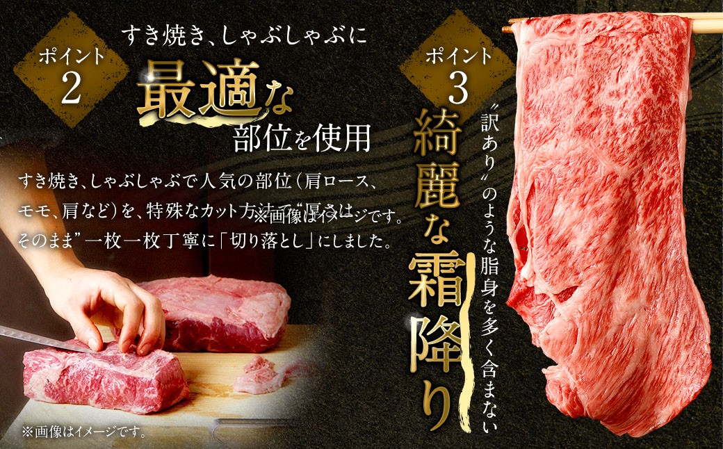 【食べ比べ】 佐賀牛 ＆ 博多和牛 リッチな霜降り 大判 切り落とし 1kg （500g×2） ／ 2種類 黒毛和牛 黒毛和種 和牛 牛肉 お肉 肉 霜降り 九州 福岡県 太宰府市 冷凍