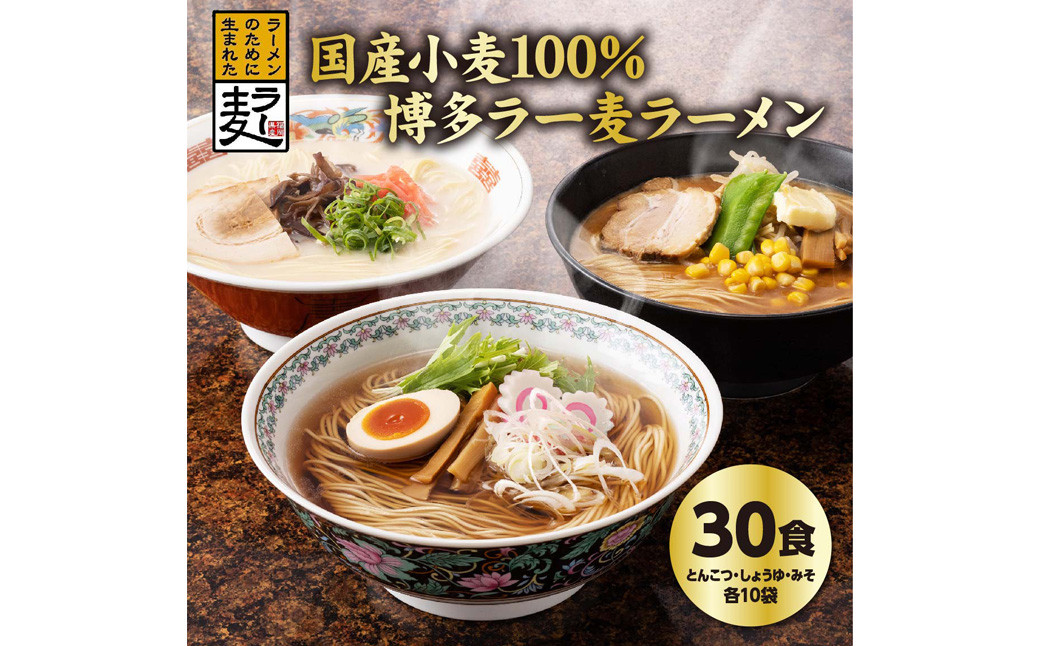 旭川厳選こだわりセット１２食（旭川名店ラーメン詰合せ）【22000801