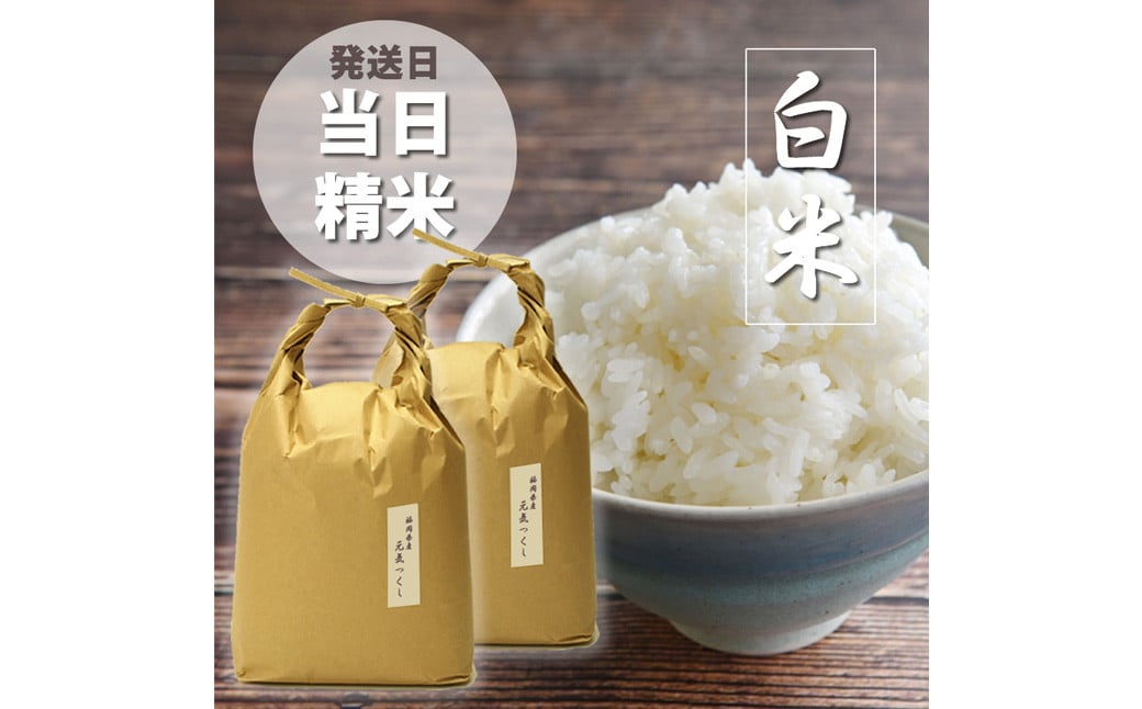 【令和6年産】福岡県産 【特A】評価のお米「元気つくし」5kg×2袋（10kg）【2024年11月下旬より順次発送】 白米 精米 お米 米