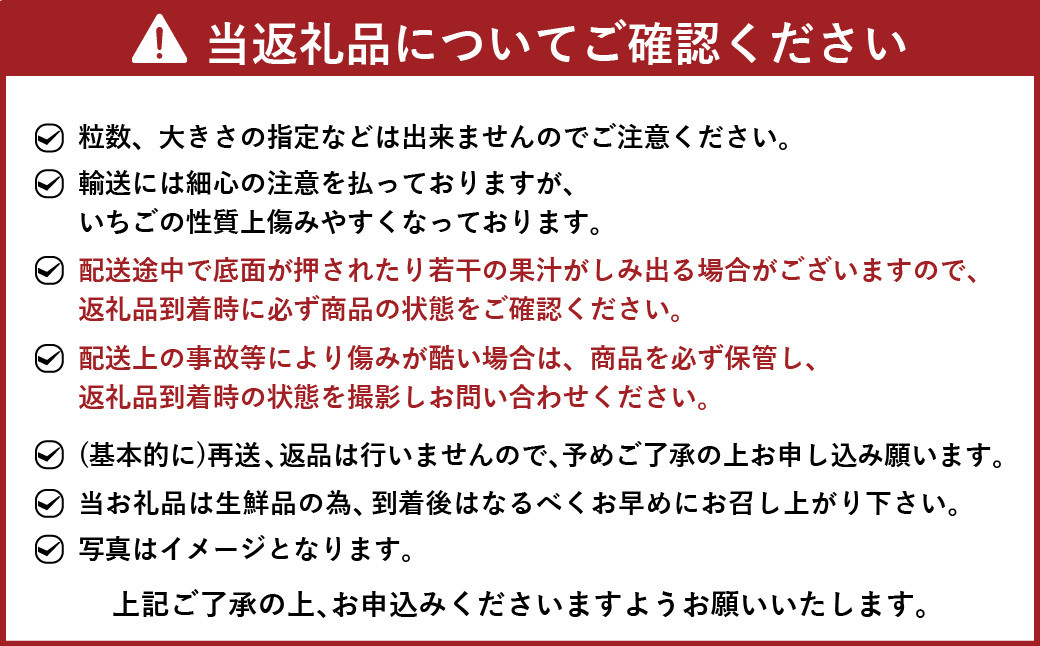 【2024年3月上旬より発送開始】【予約受付・3回定期便】あまおう 贅沢セット いちご イチゴ フルーツ 果物