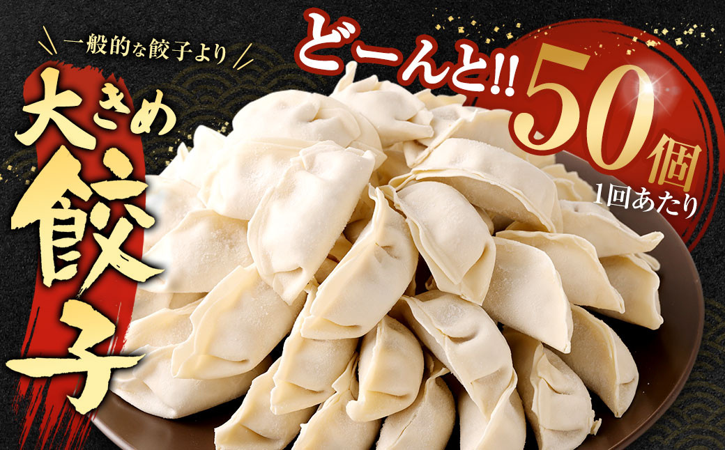 【3ヶ月定期便】【国産冷凍生餃子】大きめ 餃子 50個 ＆ とんこつラーメン 5食付き 合計2kg ラー麦 豚骨 拉麺 ぎょうざ 惣菜