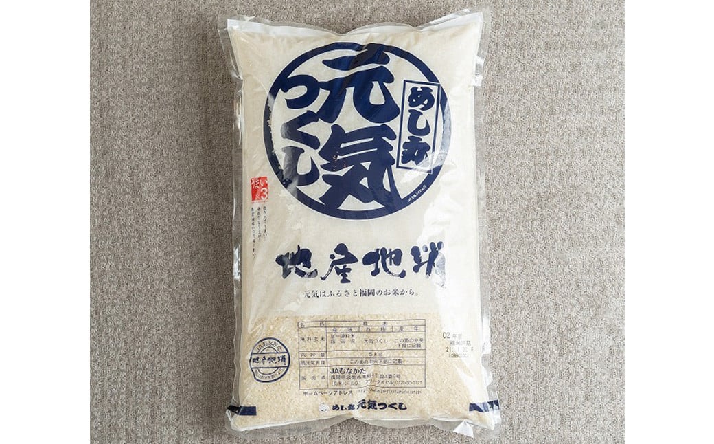 【令和6年産】福岡の美味しいお米 元気つくし 5kg 精米 お米 米 ブランド米 福岡県産 国産