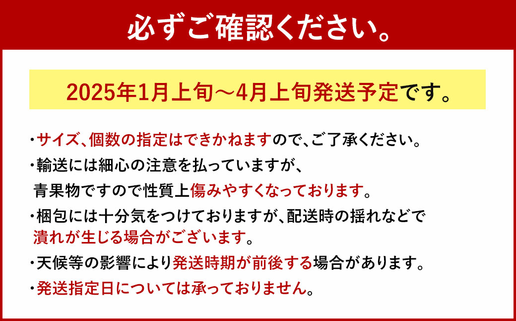 【2025年1月上旬～4月上旬発送予定】いちごの王様！ 【あまおう2L～グランデサイズ】約270g×6パック あまおう いちご 苺 イチゴ フルーツ 果物