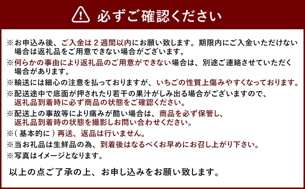 大粒あまおう 約250～270g × 2パック （計500～540g） 【2026年2月上旬～4月上旬発送予定】 あまおう 苺 いちご イチゴ くだもの 果物 フルーツ 国産 福岡県産 福岡県 太宰府市 冷蔵