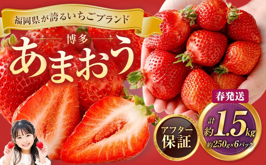 博多 あまおう 6パック（春）【2027年2月上旬～2027年4月下旬発送予定】