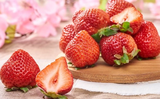 çŠå²¡ç£ãæ¥ããã«ãŒãå°éåºãéžãã ããŸãã 6ãã㯠ãã¡ã èº æç© ãã«ãŒã çŠå²¡ 倪宰åºã2026幎2æäžæ¬ïœ3æäžæ¬çºéäºå®ã