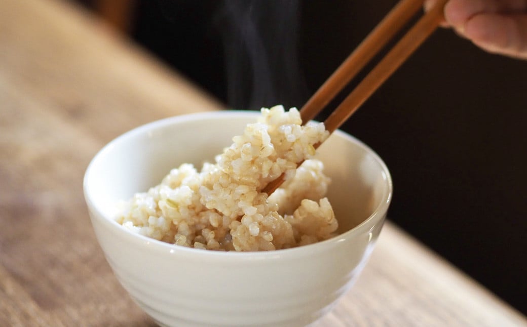 【令和6年産】福岡県産 【特A】評価のお米「元気つくし」5kg×2袋（10kg）玄米 お米 米