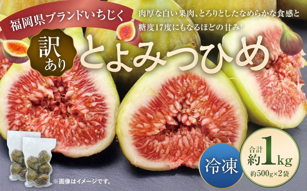 【訳あり】 冷凍いちじく 「とよみつひめ」 1kg （500g×2袋） ／  いちじく イチジク 果物 果実 フルーツ 冷凍フルーツ 冷凍
