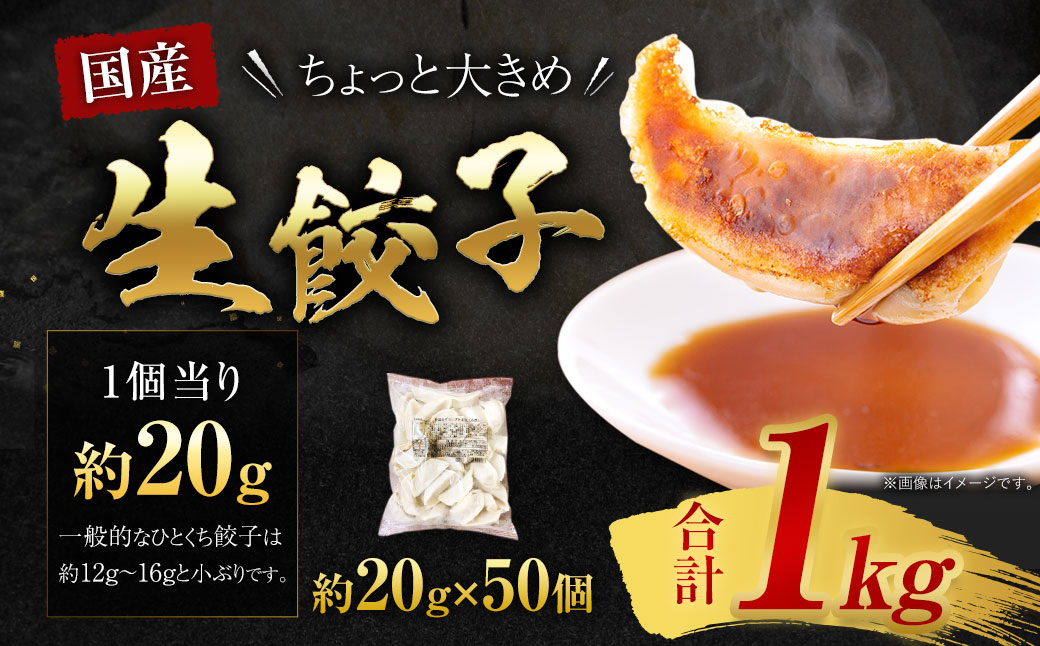 訳あり！ちょっと大きめ国産生餃子(ラー麦使用)1kg(50個×1袋)＆辛子明太子小切り500g(100g×5パック)セット