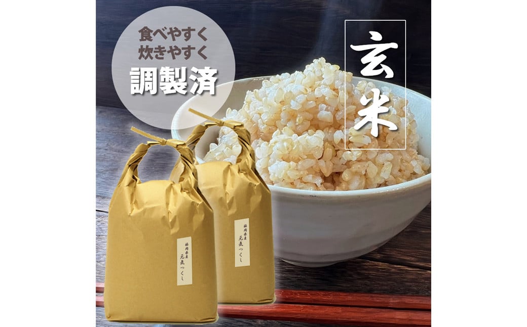 【令和6年産】福岡県産 【特A】評価のお米「元気つくし」5kg×2袋（10kg）【2024年11月下旬より順次発送】玄米 お米 米