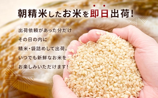 らくらくお米便 半俵コース （ 60kg ） 利用権 選べる夢つくし ・ 元気つくし お米 米 こめ コメ 白米 白飯 飯 ご飯 おにぎり ブランド米 ブランド 福岡県産 国産 定期 定期配送 定期便 精米 玄米