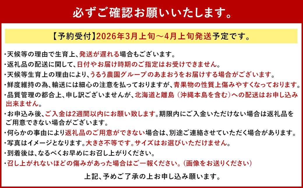 あまおうサイズ色々 約570g（約285g×2パック）【2026年3月～4月上旬発送予定】あまおう いちご 苺 イチゴ フルーツ 果物