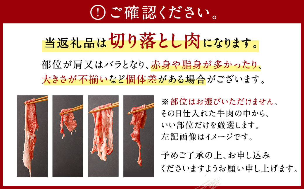 【2023年12月発送】佐賀牛 切り落とし 1.1kg (600g+500g)  肉 牛肉 国産 冷凍 バラ 肩 化粧箱付き