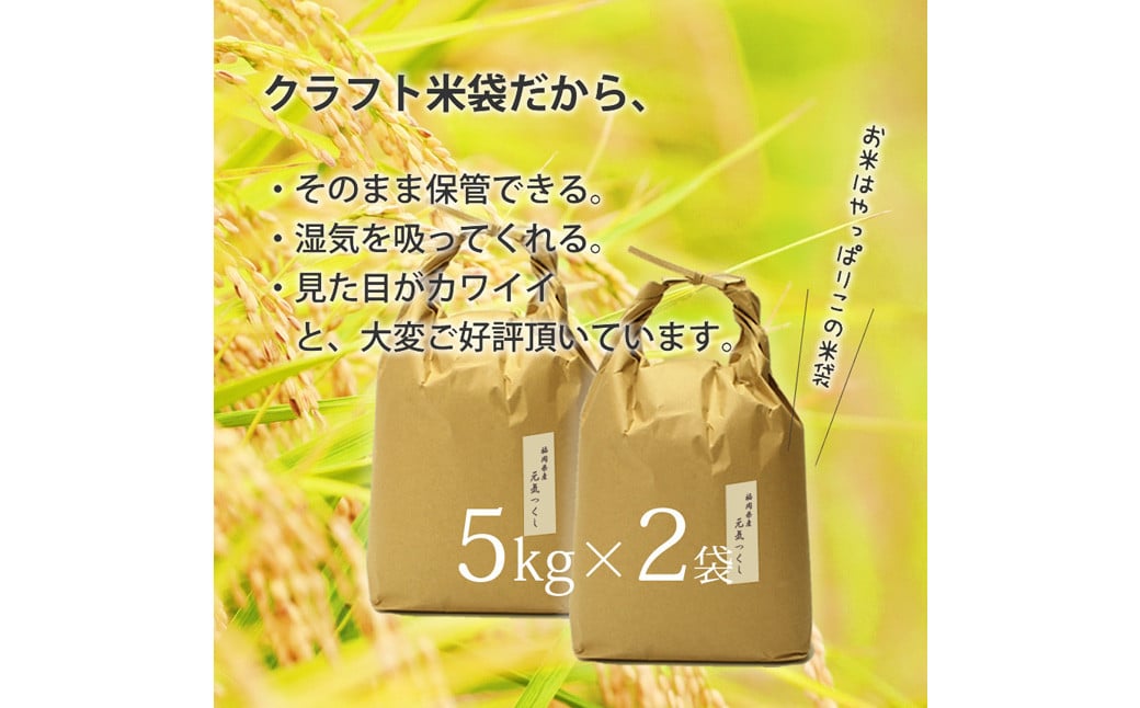 【令和6年産】福岡県産 【特A】評価のお米「元気つくし」5kg×2袋（10kg）【2024年11月下旬より順次発送】 白米 精米 お米 米