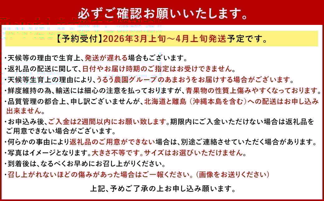【特別栽培/有機質肥料/アフター保証】うるう農園 あまおう サイズ色々 4パック （約1140g）【2026年3月上旬～2026年4月上旬発送予定】 いちご イチゴ 苺 フルーツ 果物