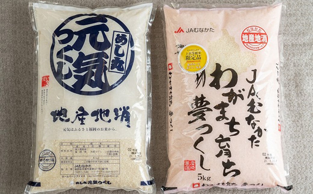 【令和6年産】 福岡の美味しいお米 夢つくし ＆ 元気つくし 各5kg 合計10kg 精米 お米 米 ブランド米 福岡県産 国産