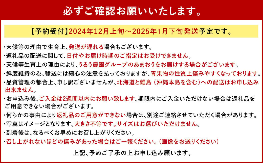 あまおうサイズ色々 約570g（約285g×2パック）【2024年12月上旬～2025年1月下旬発送予定】あまおう いちご 苺 イチゴ フルーツ 果物