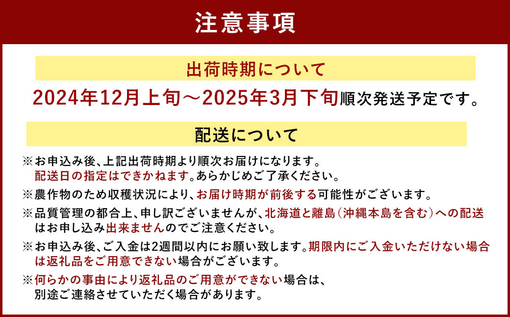 あまおう＆ふくや 味の明太子 290g セット 苺 いちご イチゴ めんたいこ セット【2024年12月上旬～2025年3月下旬発送予定】