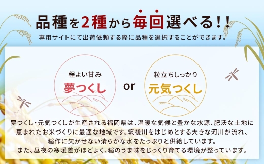 らくらくお米便 半俵コース （ 60kg ） 利用権 選べる夢つくし ・ 元気つくし お米 米 こめ コメ 白米 白飯 飯 ご飯 おにぎり ブランド米 ブランド 福岡県産 国産 定期 定期配送 定期便 精米 玄米